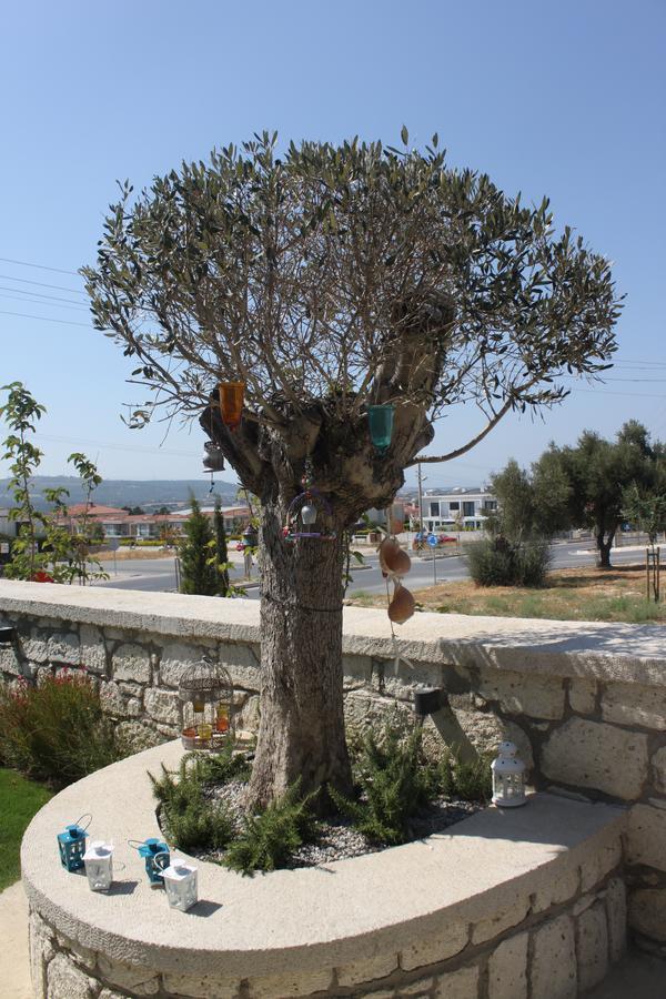 Eritrina Alaçatı Luaran gambar